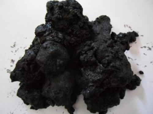 1-20062Q53F2438.jpg 1-20062Q53F2438.jpg