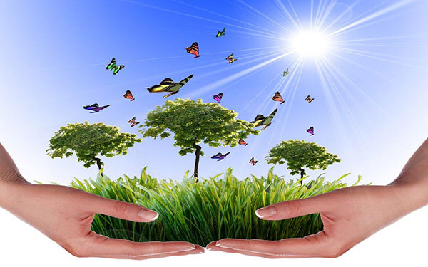 蒸汽污泥烘干機多久進(jìn)行一次維護(hù)比較好 蒸汽污泥烘干機多久進(jìn)行一次維護(hù)比較好